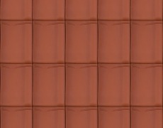 Dakpan DHS-2483 Natuurrood