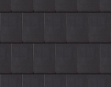 Dakpan DHS-4345 zwart