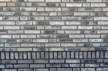 00596e7f-4eee-4dd3-9657-3690927500a8