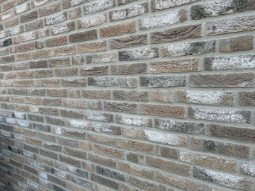 IMG_1569 Kampboerlaan 10 Luce