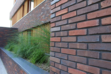 Groningen Mix sortering