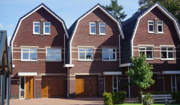 145AH DalfsenPollux9-min