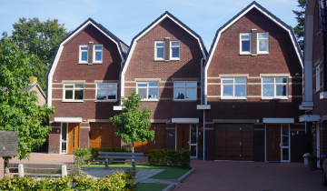 145AH DalfsenPollux12-min