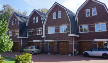 145AH DalfsenPollux10