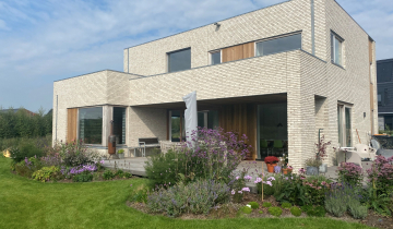 94AH Azuurjuffer 41 Eelderwolde_1