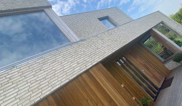 94AH Azuurjuffer 41 Eelderwolde_6