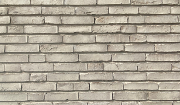 94AH Azuurjuffer 41 Eelderwolde_7