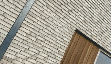 94AH Azuurjuffer 41 Eelderwolde_4