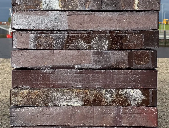 Strenpers Bruin Paars LF