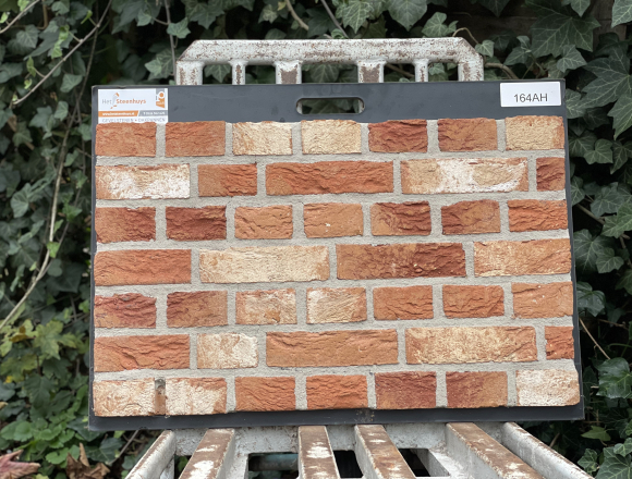 Paneel 164AH